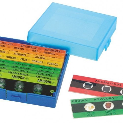 Microscope slides with samples (12 pcs.)