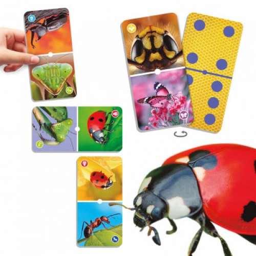 EDUCATIONAL GAME "DOMINOES - THE WORLD OF INSECTS" EDUCATIONAL GAME "DOMINOES - THE WORLD OF INSECTS"