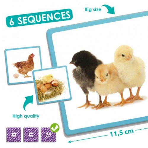 EDUCATIONAL GAME "STAGES OF DEVELOPMENT OF LIVING ORGANISMS" EDUCATIONAL GAME "STAGES OF DEVELOPMENT OF LIVING ORGANISMS"
