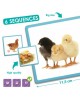 EDUCATIONAL GAME "STAGES OF DEVELOPMENT OF LIVING ORGANISMS" EDUCATIONAL GAME "STAGES OF DEVELOPMENT OF LIVING ORGANISMS"