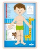 Wooden puzzle “Human Anatomy” (boy) 3 in 1 Wooden puzzle “Human Anatomy” (boy) 3 in 1